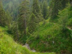 2013-07-20_Regina-F-Rau_Kochel-Rabenkopf (485).JPG